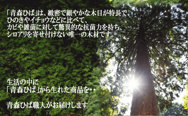 シロアリを寄せ付けない青森ひば