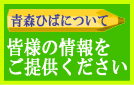 青森ひばの情報を募集しています