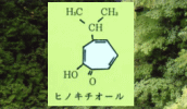 ヒノキチオール構造